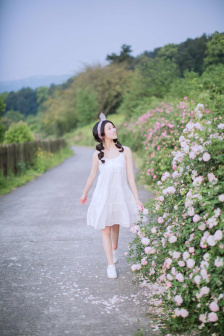 打狗棍电视剧 全集免费观看